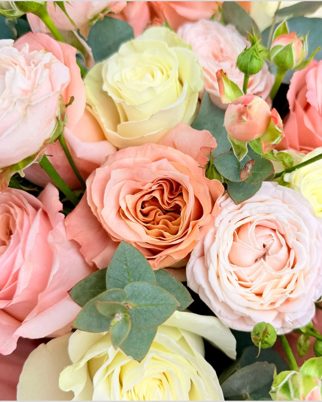 Regina – White & Peach Rose Bouquet