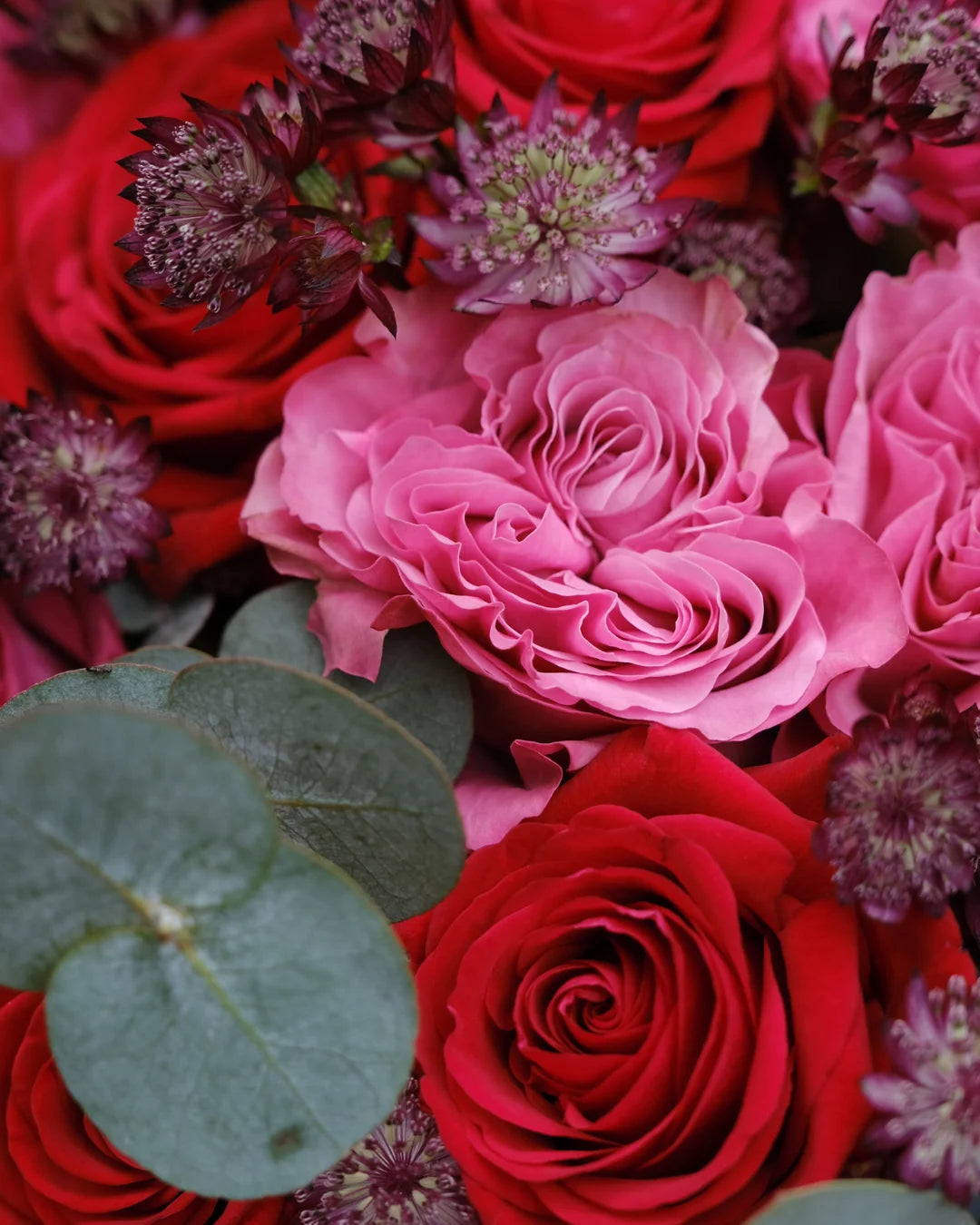 Gabriella – Velvet Red & Deep Pink Rose Bouquet